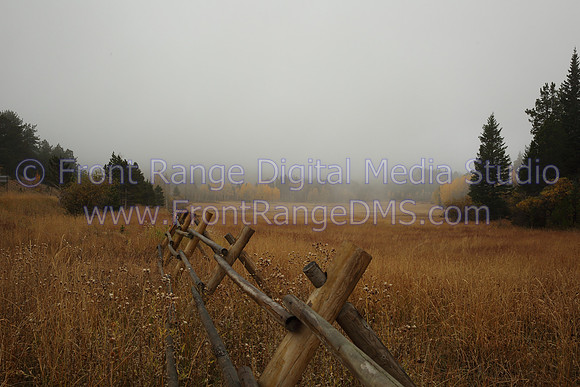 Fall Mist Fence, Nederland, Colorado