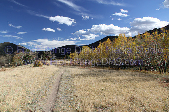 Aspen Trail, Rocky Mountain National Park