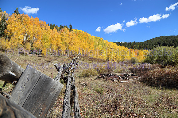 Breck Aspens. Print up to 16x20