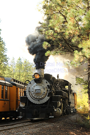 DSNG 486 Passing Train