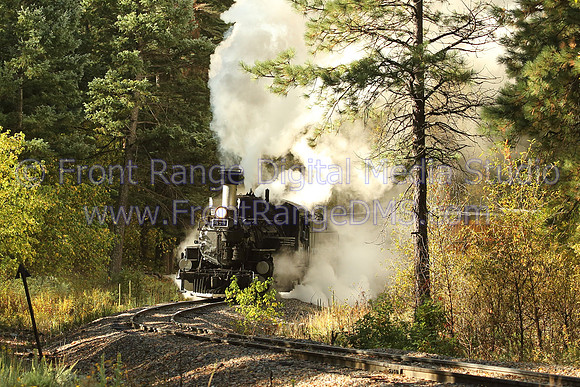 DSNG 473 Steamy
