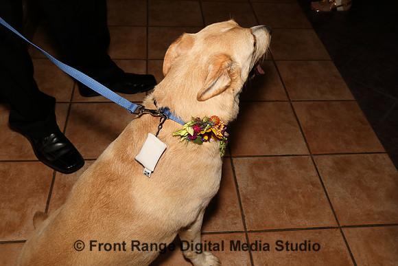 A Colorado wedding . . . of course the dog is here!
