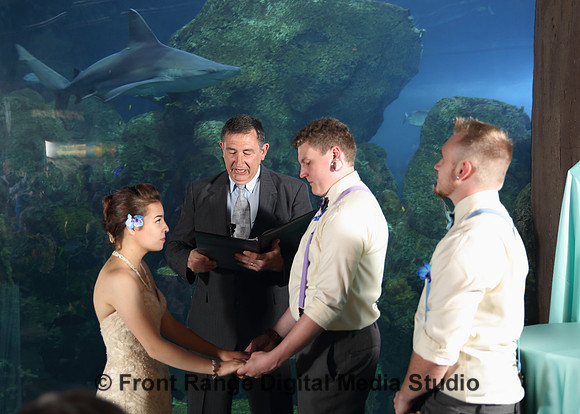 A wedding in front of the shark tank. This was a difficult shot because of all the glass around.