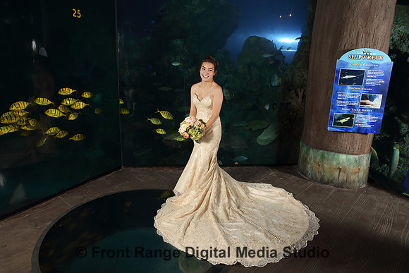 A girl and her dress