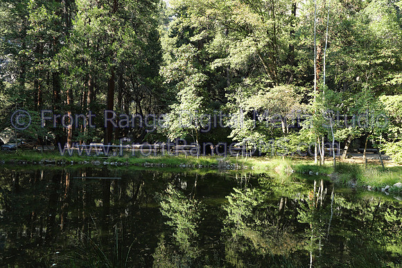 SerenePondYosemite. Print up to 16x20.