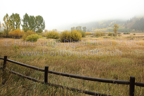 Foggy Field, Nederland, Colorado