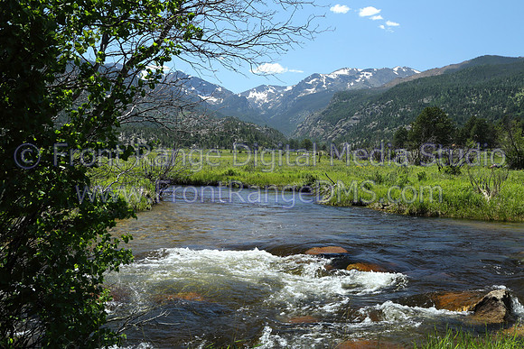 Morraine Park Tree, Rocky Mountain National Park