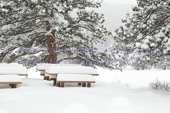 Snow Picnic Scene, Rocky Mountain National Park