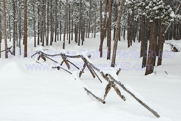Snowy Fence Line, Rocky Mountain National Park