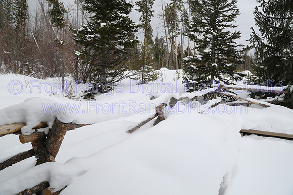 West Side Fence in Snow