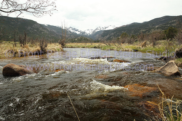 Brook, Rocky Mountain National Park