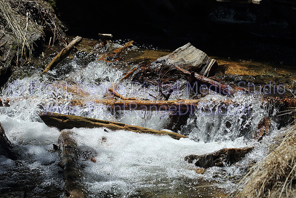 Small dam, Hidden Valley.