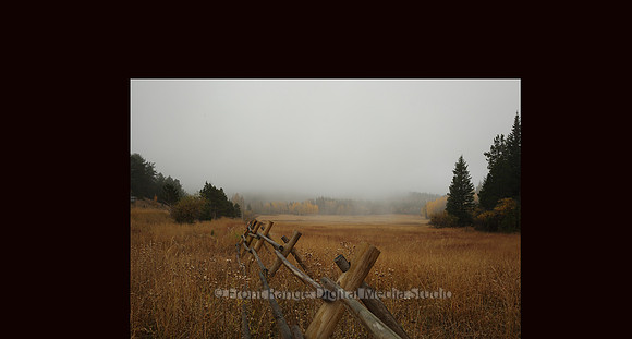 Fall Mist Fence, Nederland, Colorado